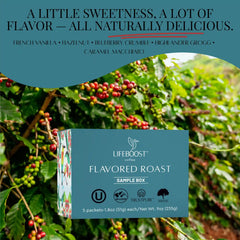 Flavored Sample Pack