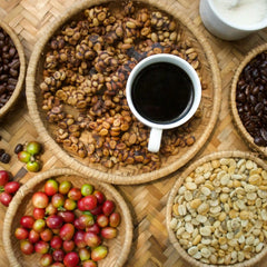 Gayo Pantan Musara Natural Coffee