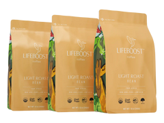 Lifeboost Africa Light